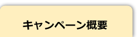 キャンペーン概要