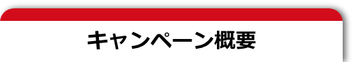 キャンペーン概要