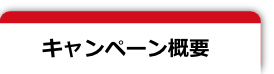 キャンペーン概要